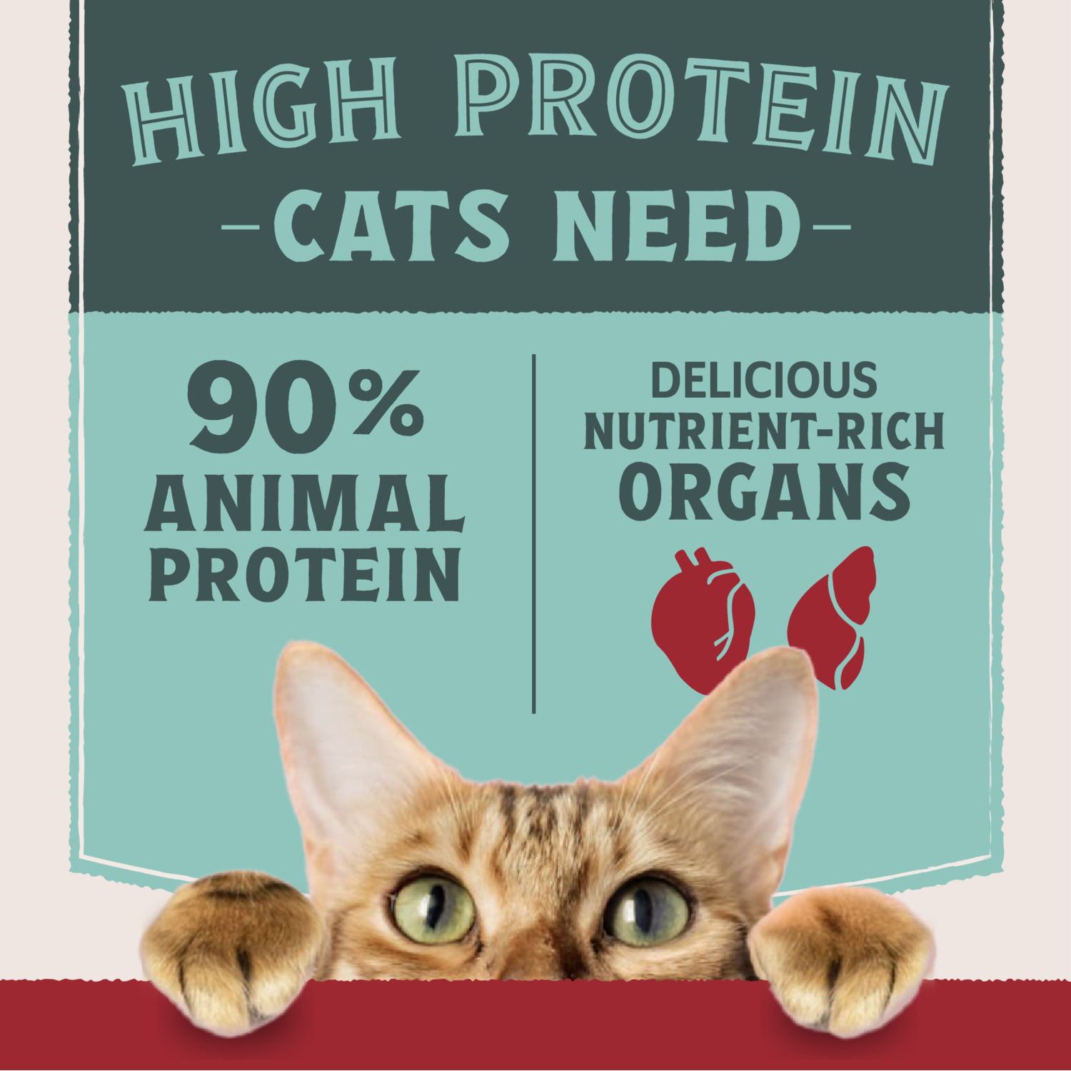 Natural Balance Ultra Protein Wet Cat Food, Pate Variety Pack &ndash; Chicken, Duck And Salmon, 2.8-Oz., Case Of 12