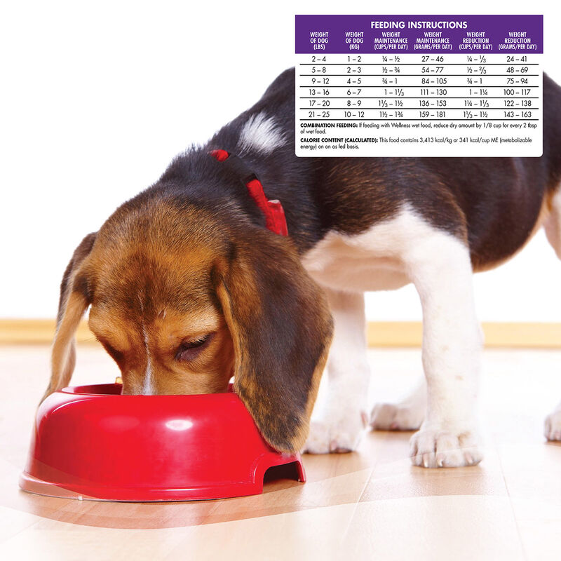Small Breed Complete Health Healthy Weight Dog Food image number 3