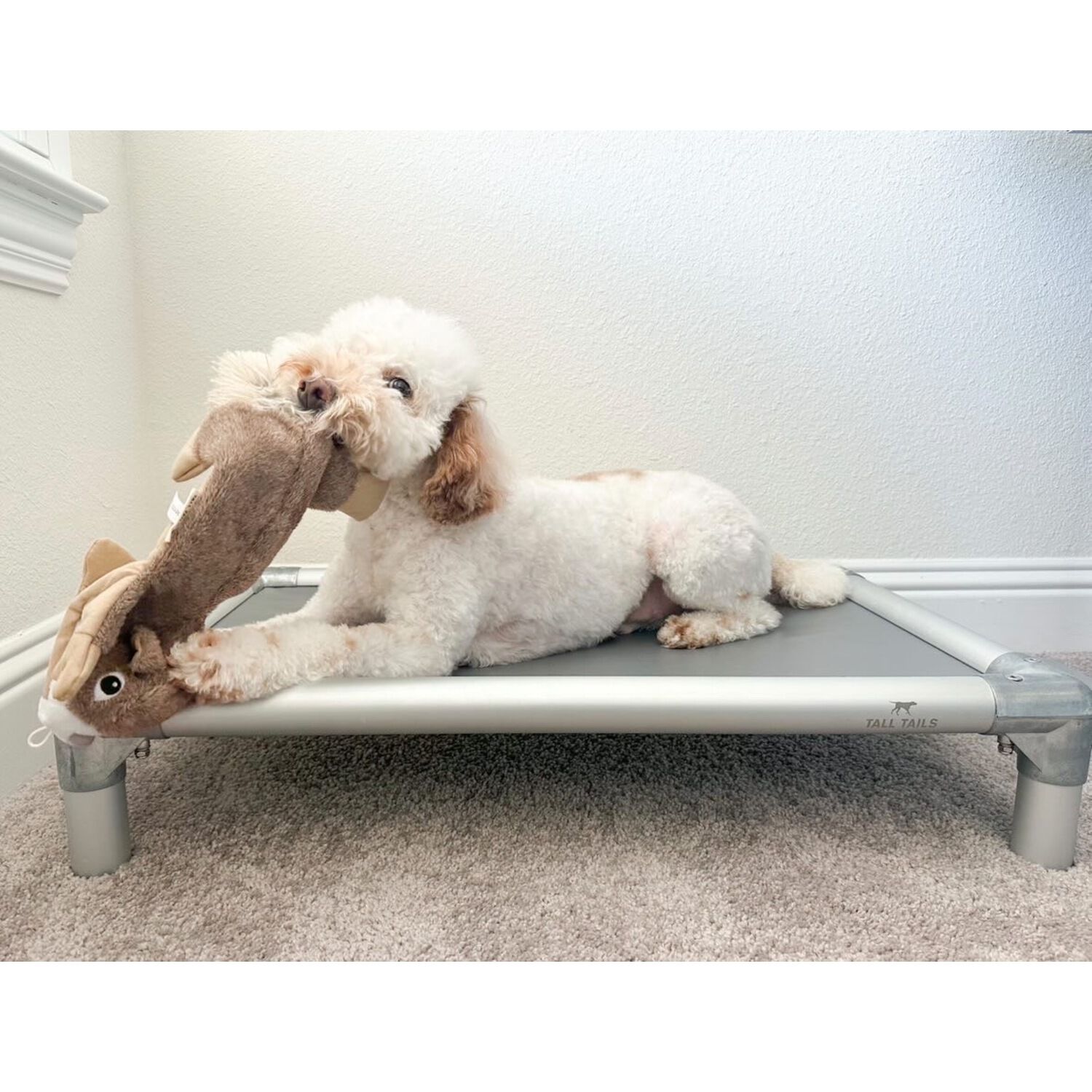 Tall Tails Stuffless Squirrel Plush Squeaky Dog Toy, 16"