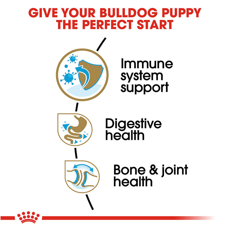 Royal Canin Breed Health Nutrition Bulldog Puppy Dry Dog Food, 6lb