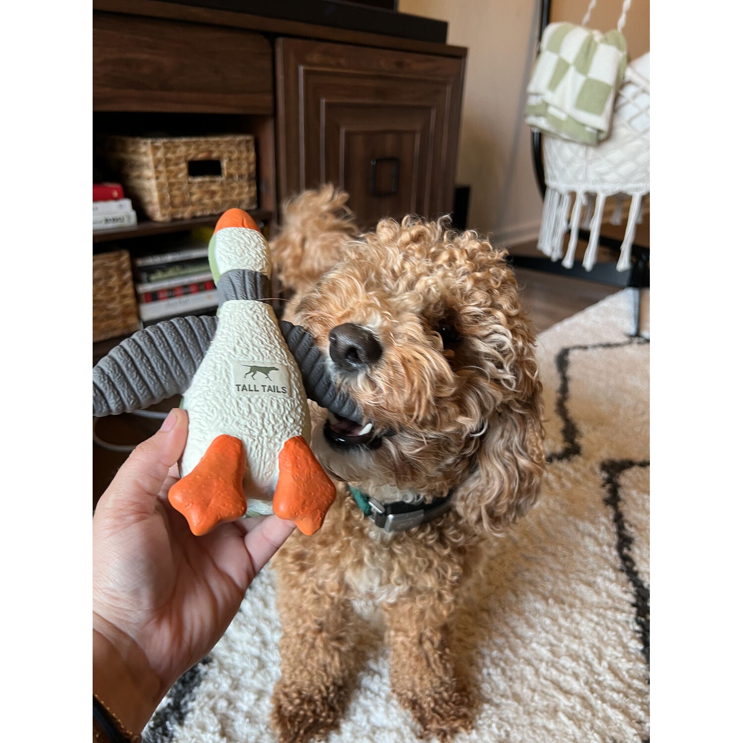 Tall Tails Duck Latex Squeaker Dog Toy, 8"