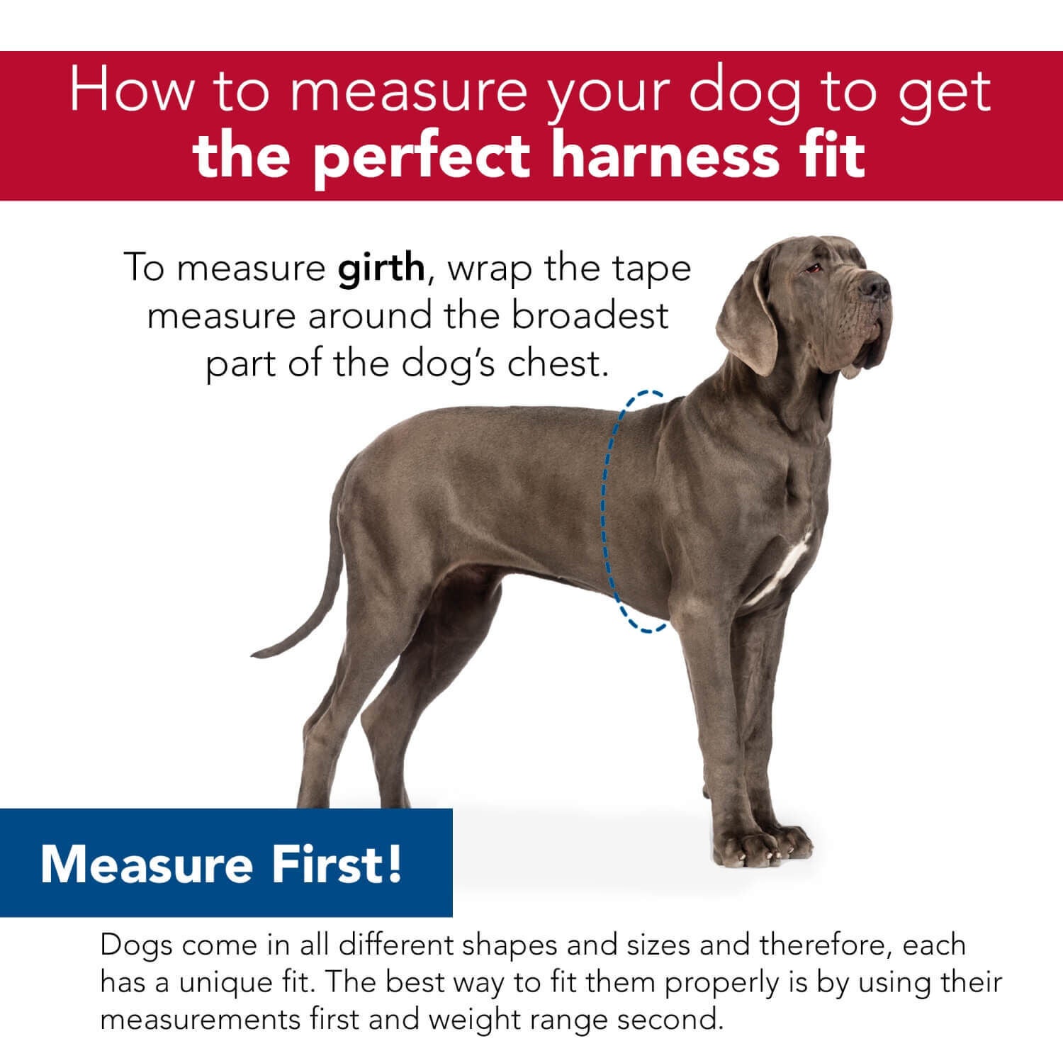 Coastal Pet Products Inspire Dog Harness With Handle - Inspire Red, 1"X30"-40"