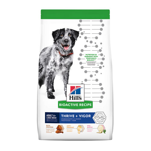 Adult 6+ Large Breed Thrive + Vigor Chicken & Brown Rice