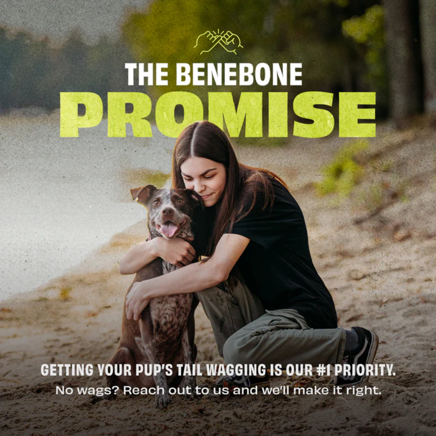 Benebone Rubber Cone Treat Dispensing Dog Toy