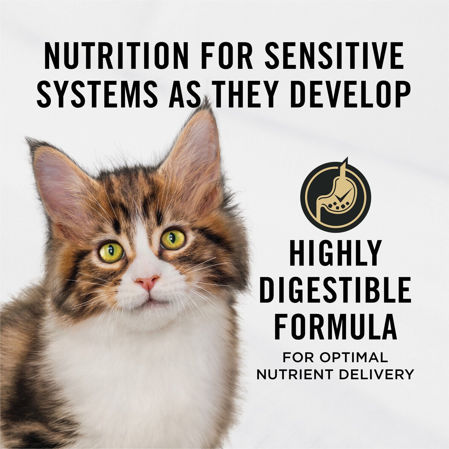 Purina Pro Plan Sensitive Skin And Stomach Dry Cat Food, Kitten Formula, Salmon And Rice Recipe, 7 Lb.