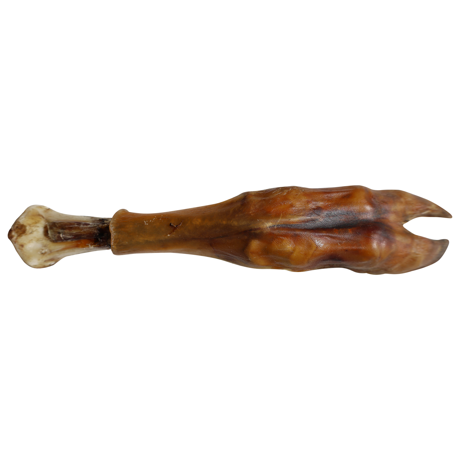Qt Dog Water Buffalo Shin Bone & Trotter Foot Natural Dog Treat, 10-12", 1 Each