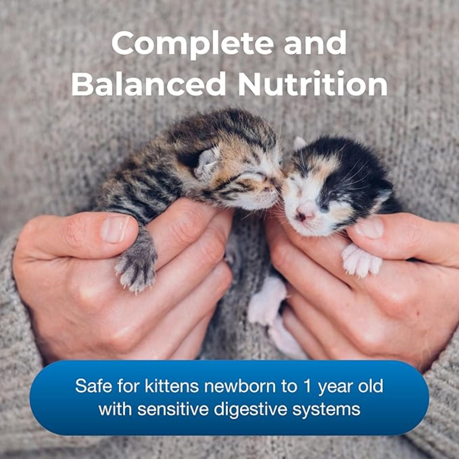 Petag Kmr Goat's Milk Liquid Kitten Milk Replacer Supplement, 16-Oz