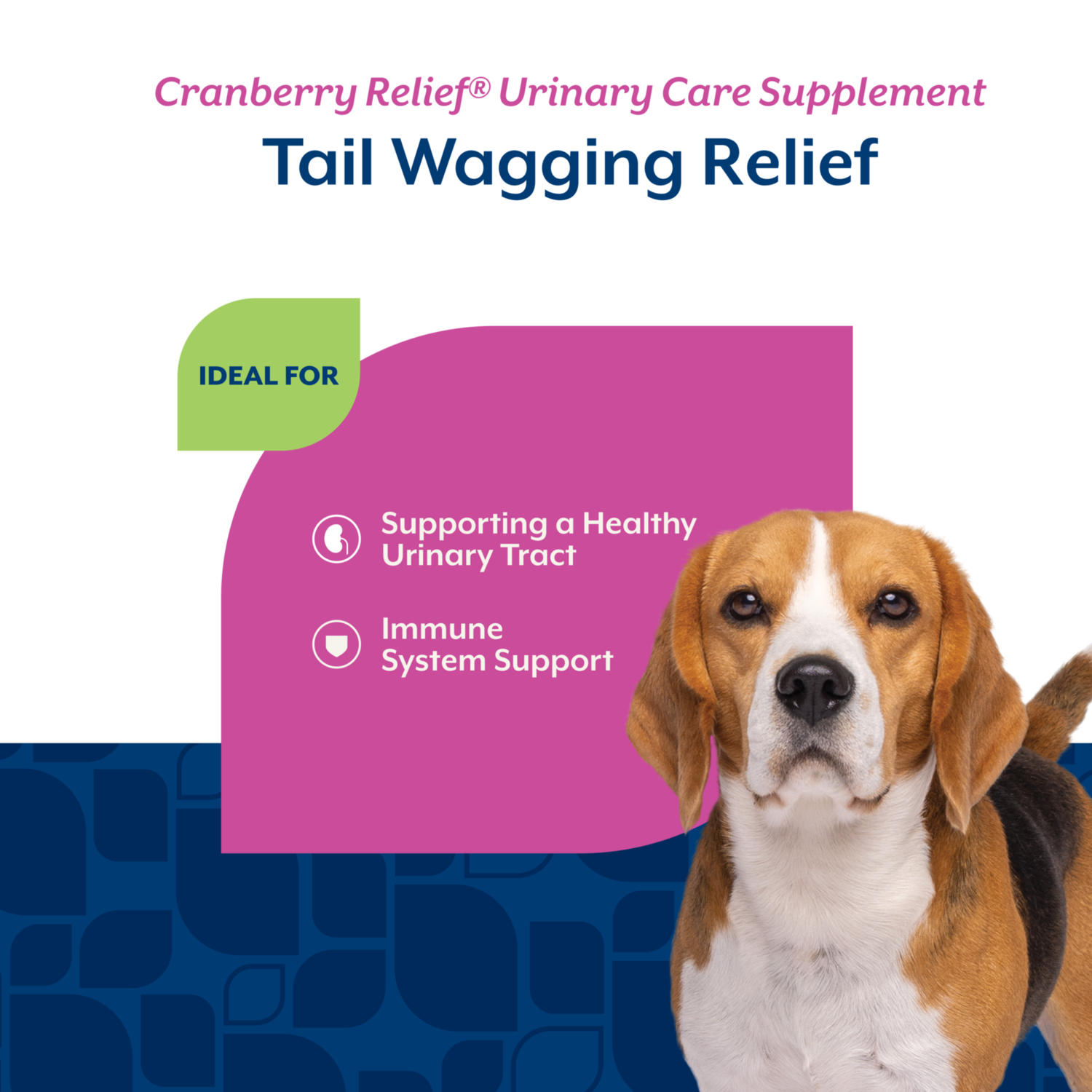 Naturvet Cranberry Relief Healthy Urinary Tract + Echinacea Soft Chew Supplements For Dogs