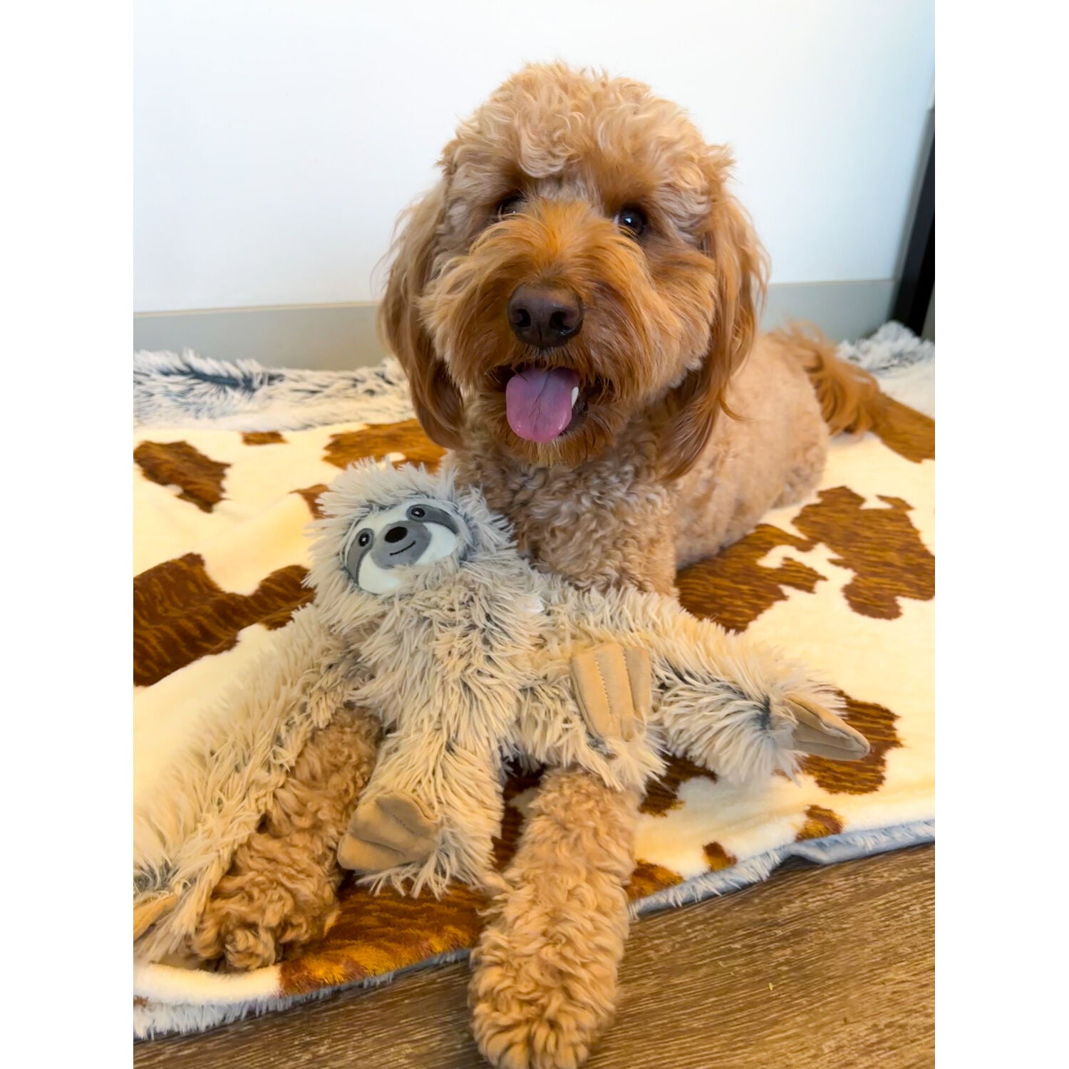 Tall Tails Sloth Rope Body Plush Squeaky Dog Toy, 16"