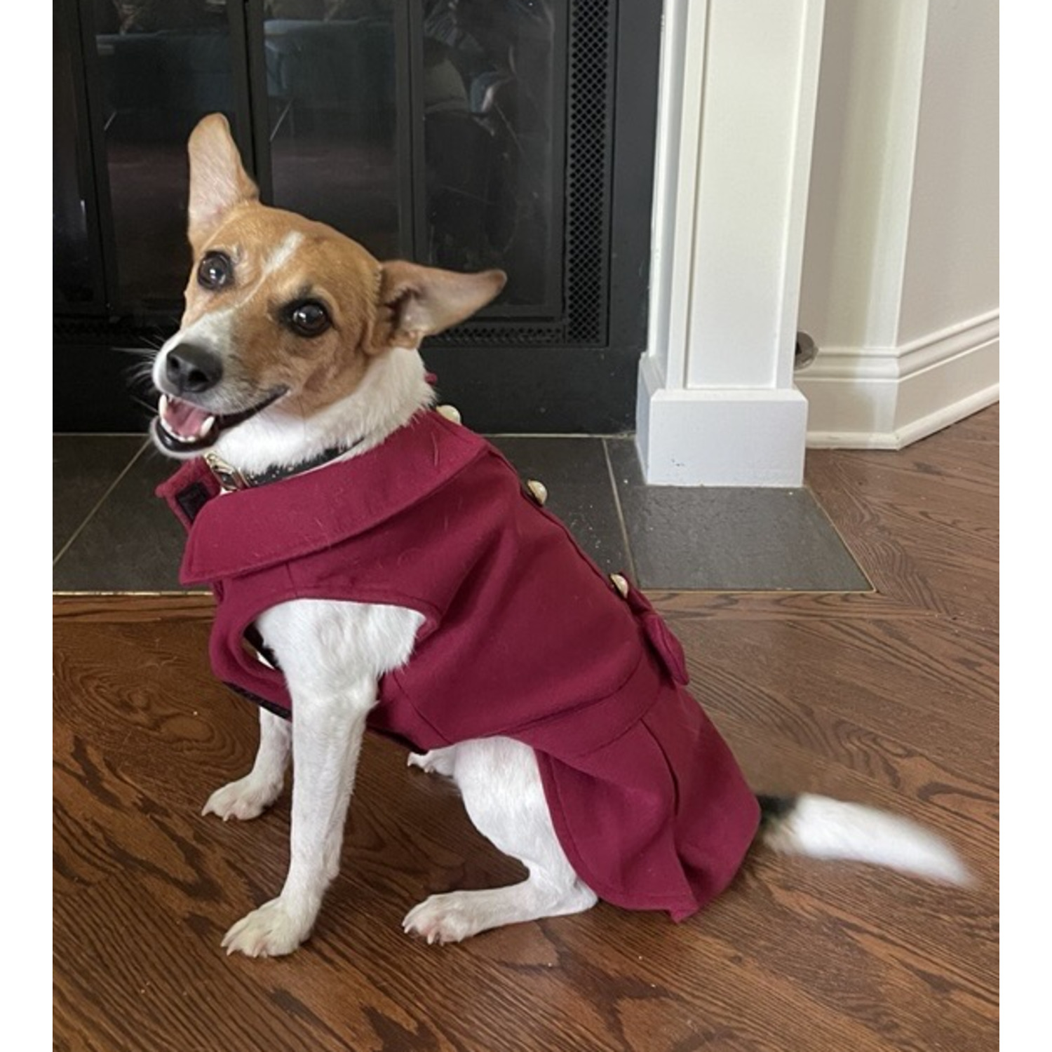 Fabdog Burgundy Pearl Button Dog Coat, Medium