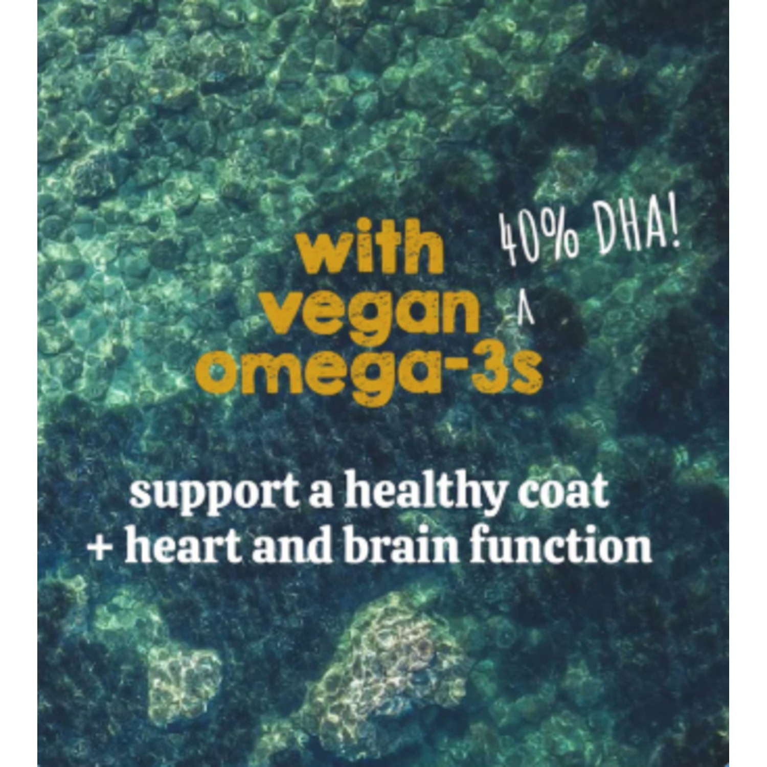 Austin & Kat Blanca's Marine Algae Oil, Skin & Coat Vegan Liquid Omega Dog Supplement, 16Oz