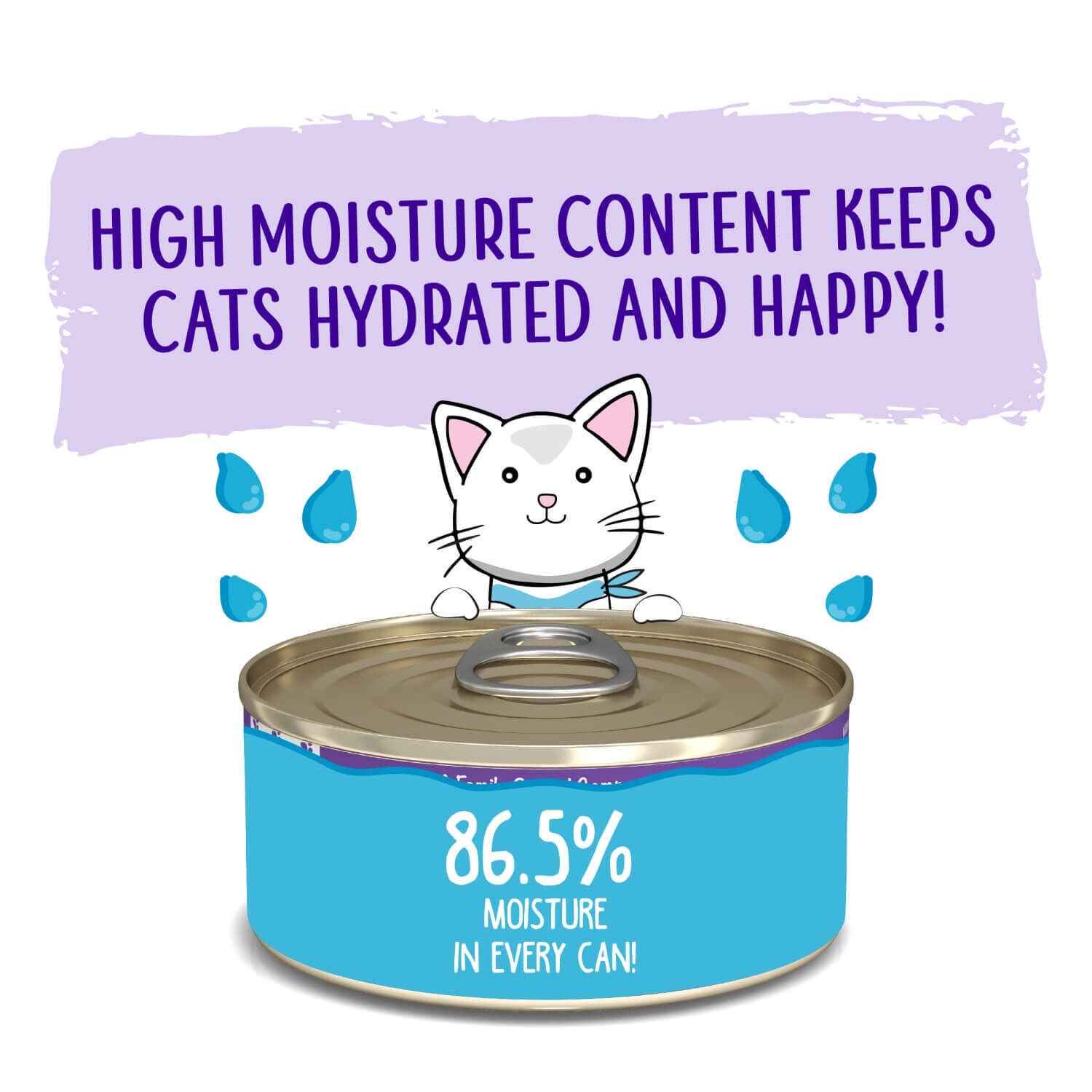 Weruva Classic Cat Pat&eacute; Meal Or No Deal! With Chicken & Beef Wet Cat Food