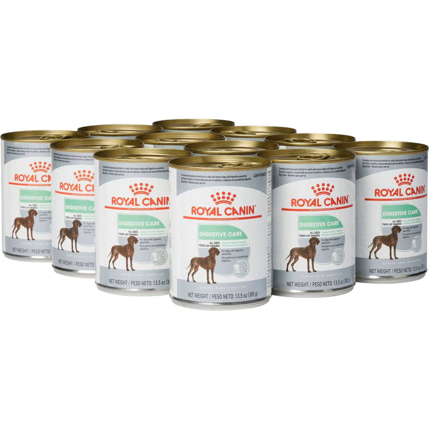 Royal Canin Canine Care Nutrition&trade; Digestive Care Loaf In Sauce Wet Dog Food, 13.5 Oz