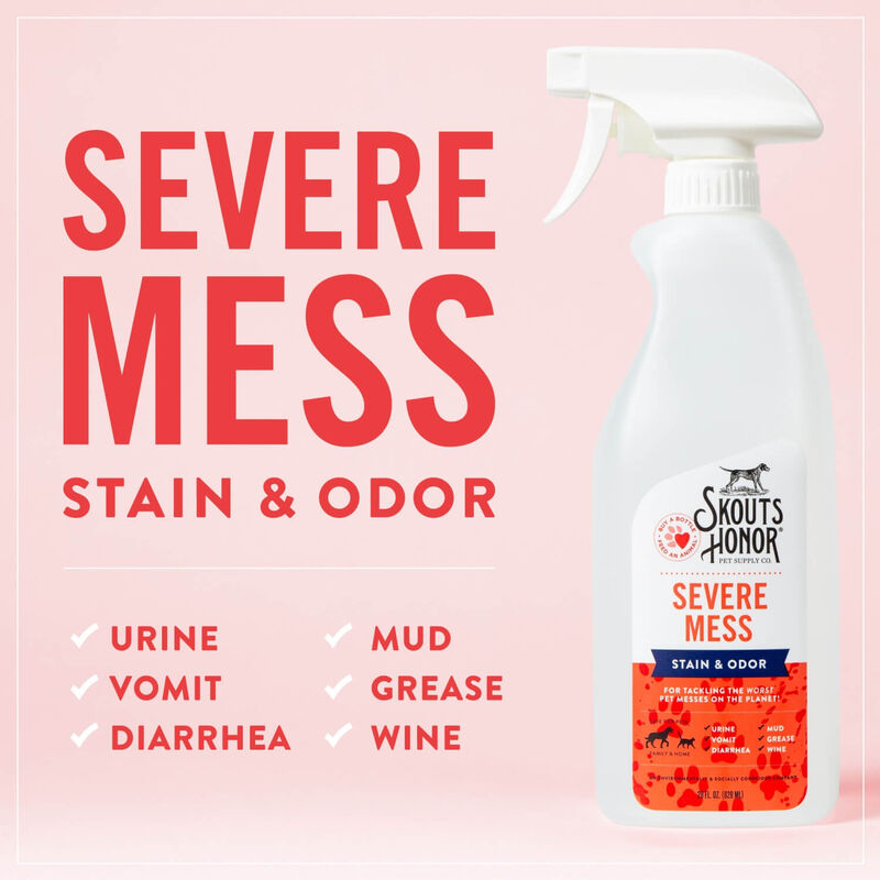 Severe Mess Stain & Odor