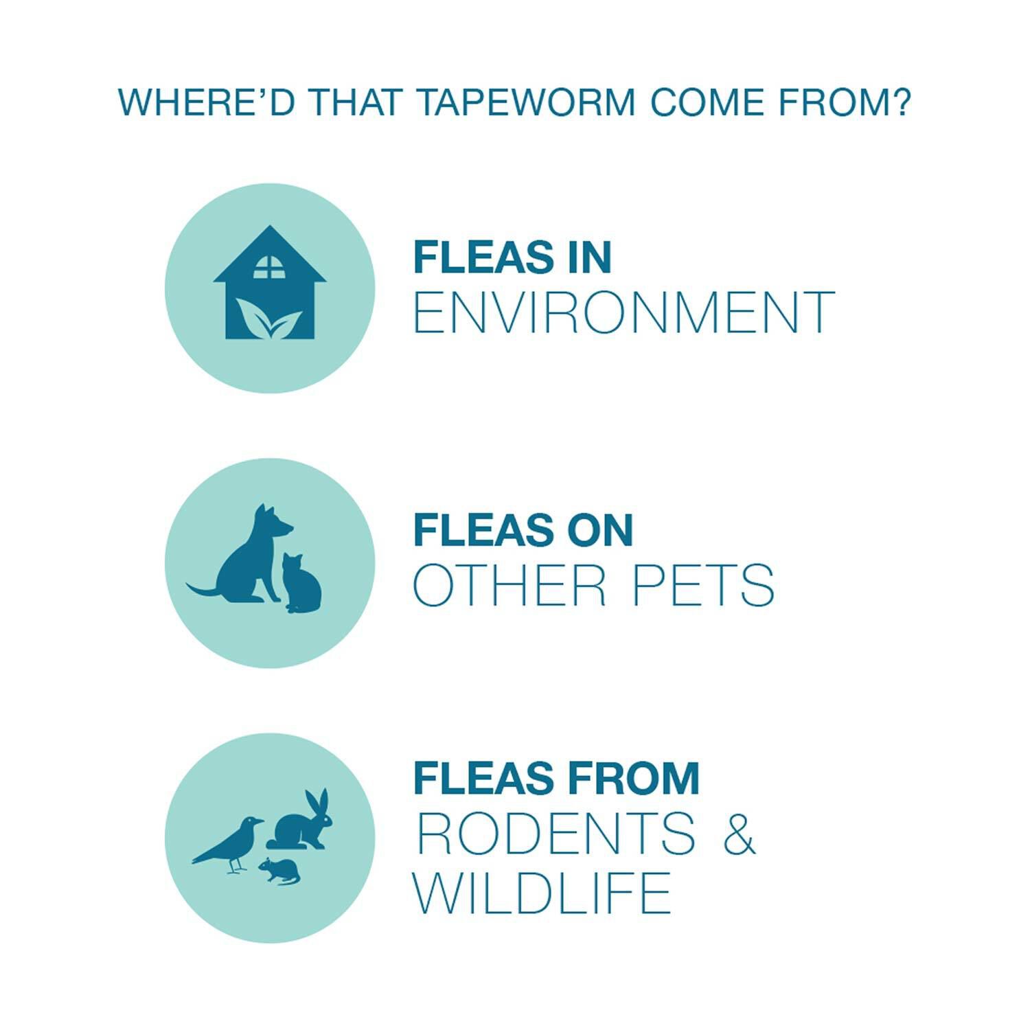 Elanco Tapeworm Dewormer For Dogs