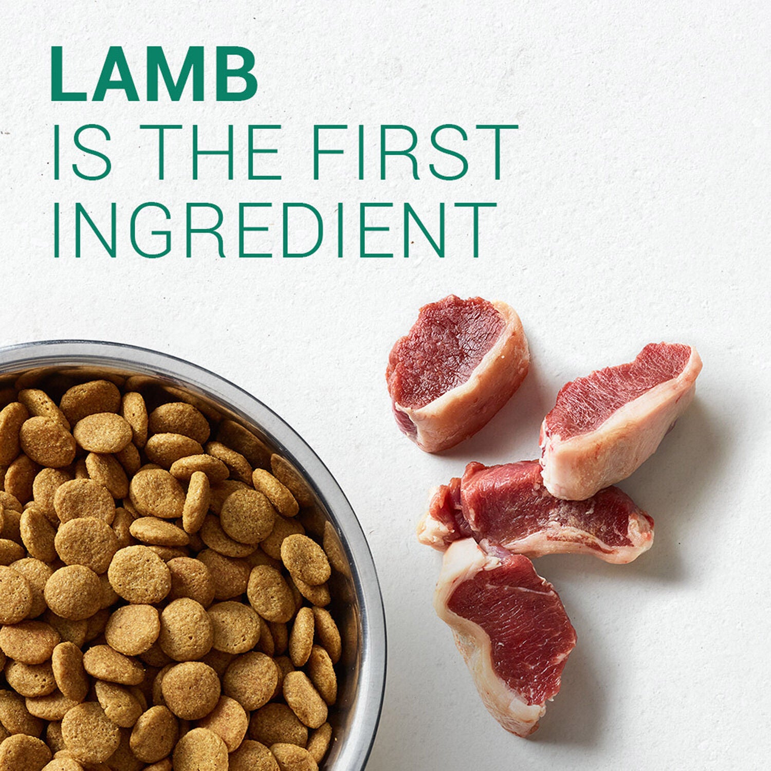 Nutro large breed lamb top