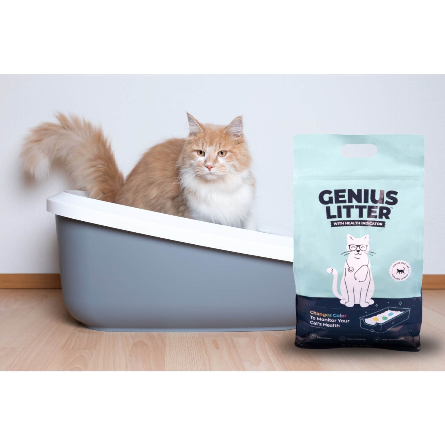 Pet supermarket cat litter top