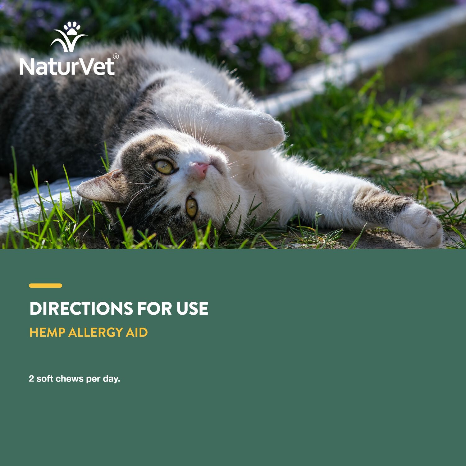 Naturvet Hemp Allergy Supplement Cat Soft Chews, 60 Count