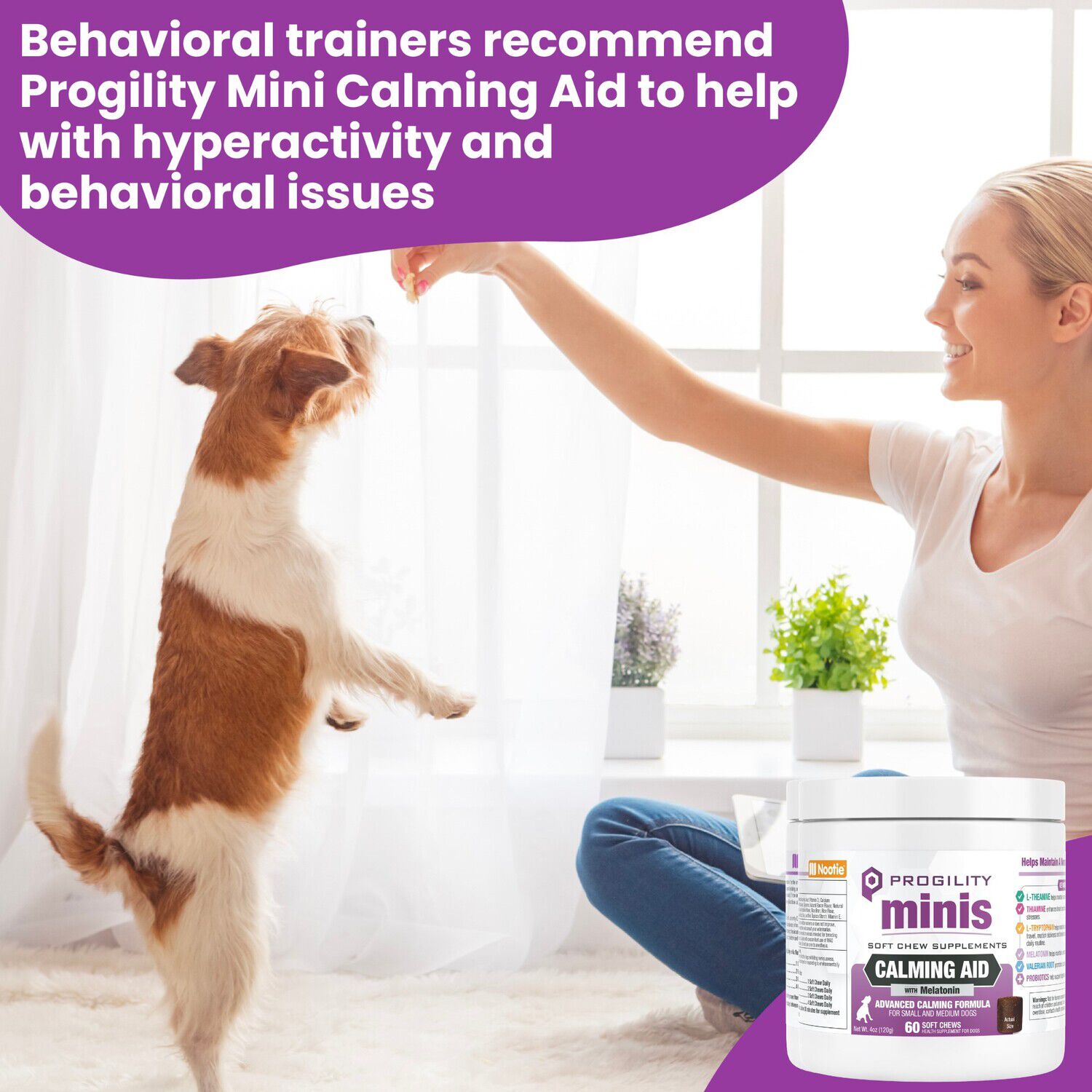 Progility Mini Calming Aid Soft Chew Supplements For Small & Medium Breed Dogs, 60Ct