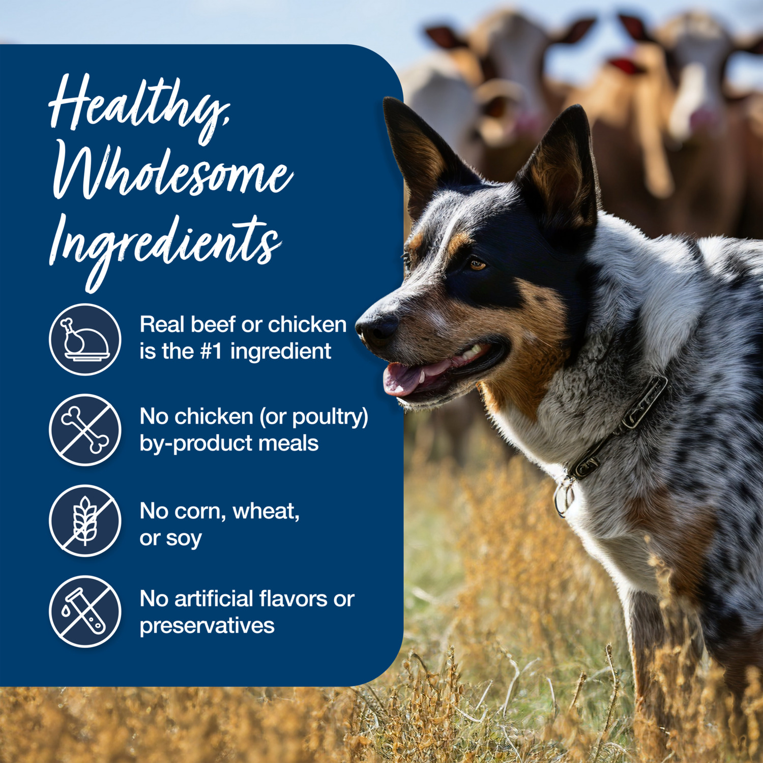 Blue Buffalo Blue's Stew Grain-Free Wet Dog Food, Hearty Beef Stew And Country Chicken Stew Variety Pack