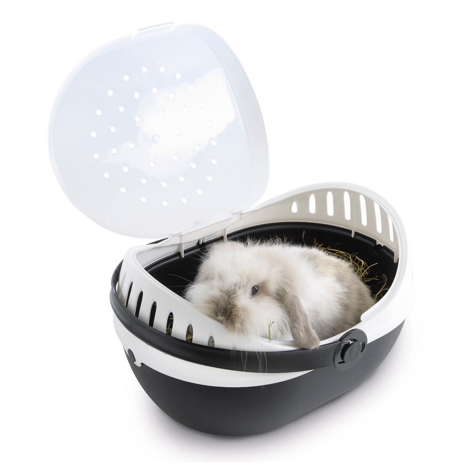 Small pet carrier on sale