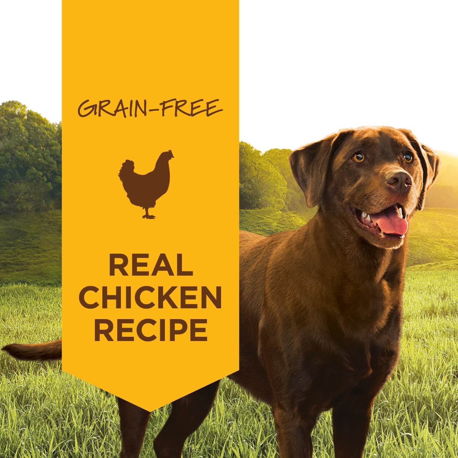 Instinct Original Grain-Free Chicken Formula Wet Dog Food, 13.2-Ounces