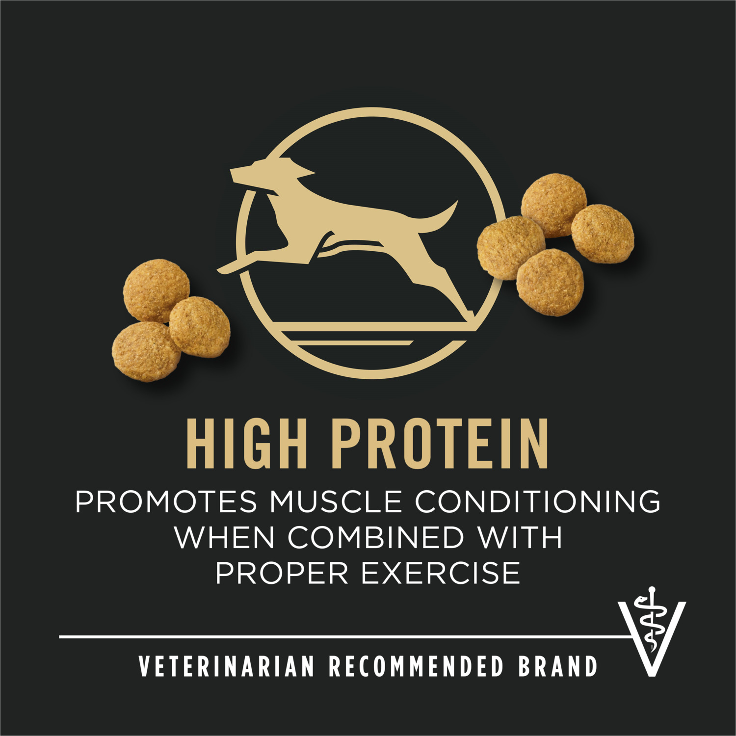 Purina Pro Plan Digestive Health Chicken And Rice Large Breed Adult Formula Dry Dog Food, 47Lb