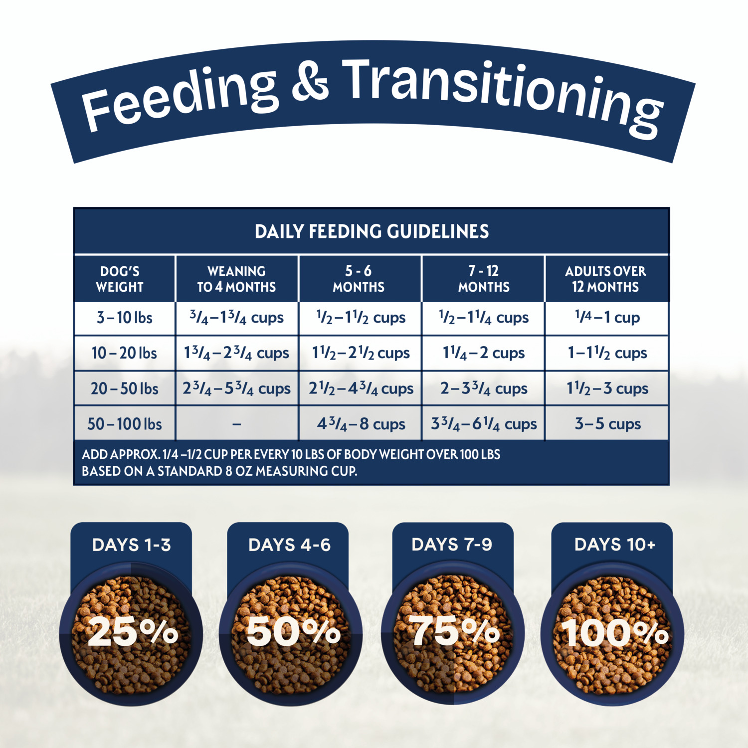 Natural Balance Health Protection Puppy Dry Dog Food, Chicken, Brown Rice & Pumpkin Recipe, 12-Lb Bag
