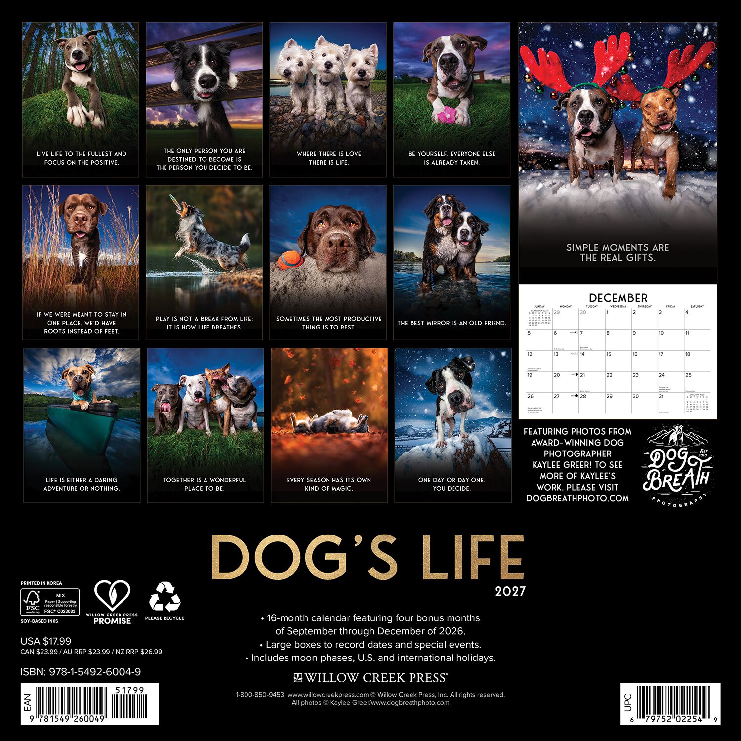 Willow Creek Press Dog's Life 2027 12" X 12" Wall Calendar