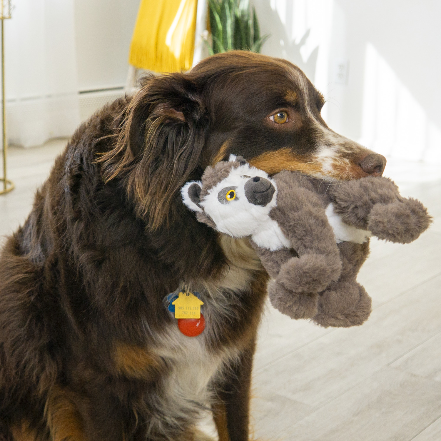Kong Scampers Plush Lemur Dog Toy, 12"