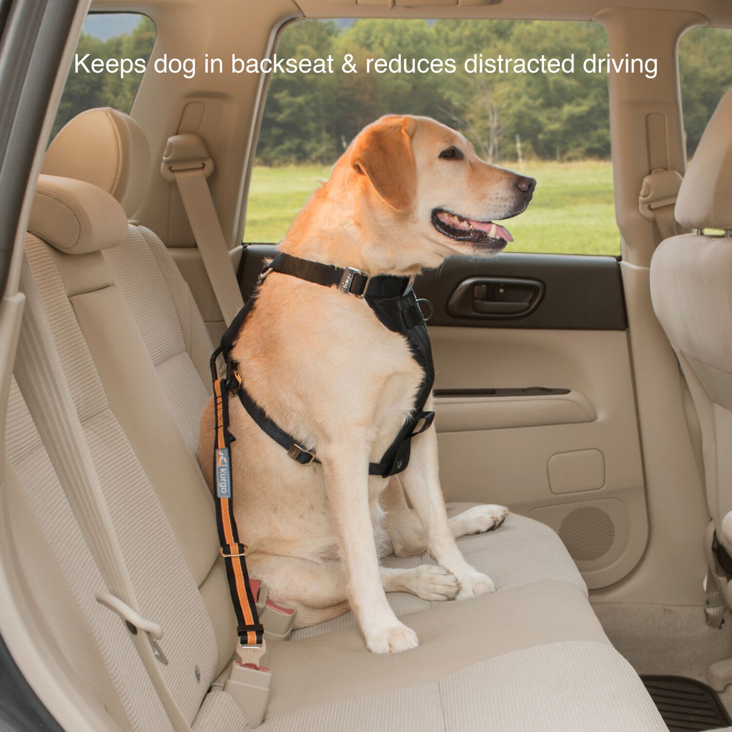 Kurgo Direct To Seatbelt Adjustable Tether Dog Seatbelt, 1-Each