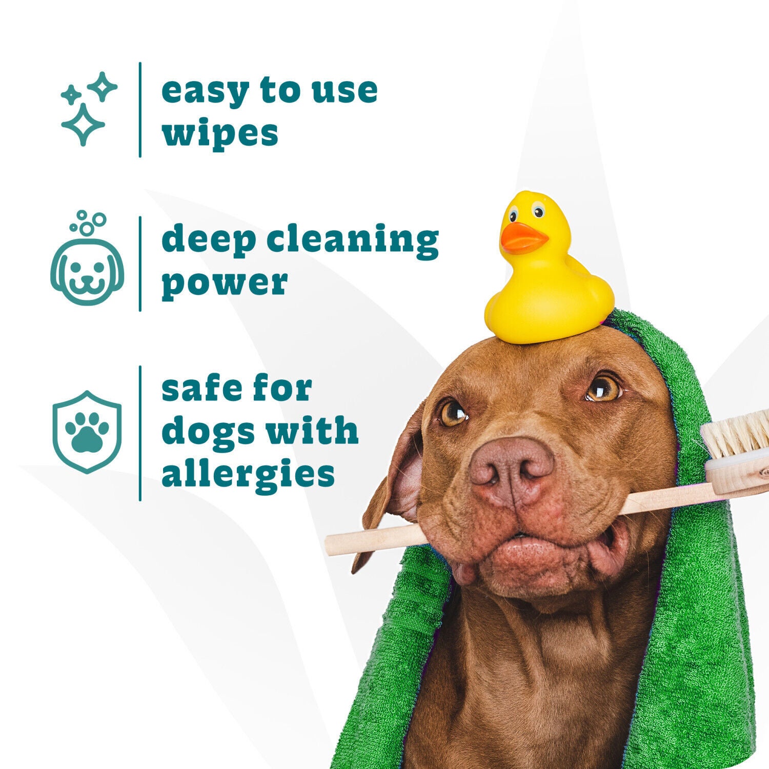 Espree Dog & Cat Hypoallergenic Aloe Grooming Wipes, 50-Count