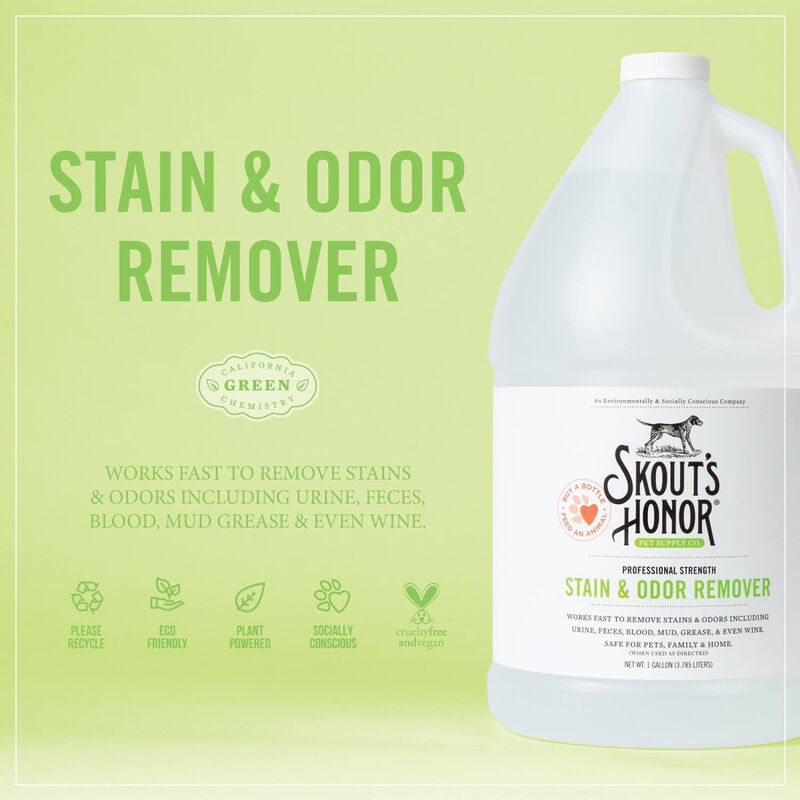 Stain And Odor Remover image number 2