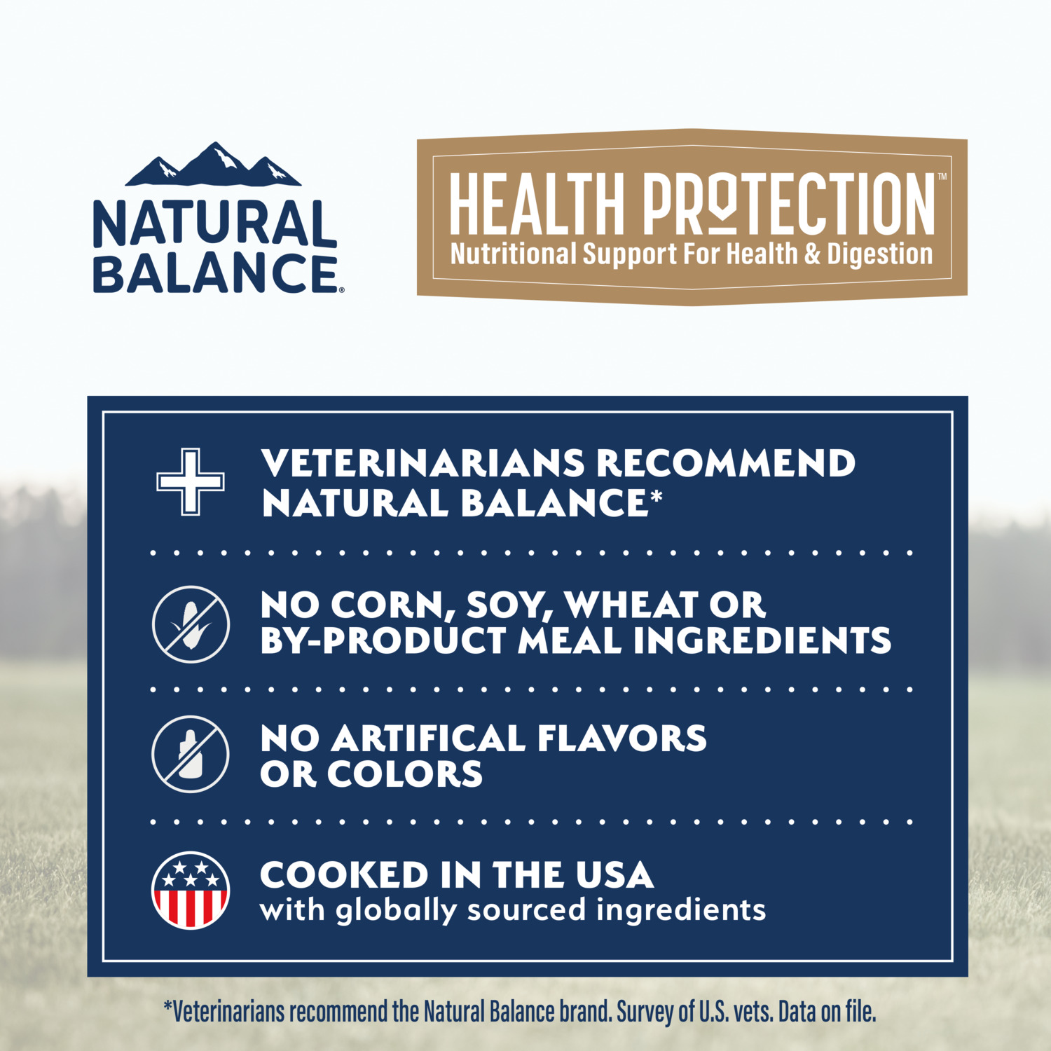 Natural Balance Health Protection Wet Dog Food, Salmon Broth, Salmon, Pumpkin & Brown Rice Stew, 12.5-Oz Can