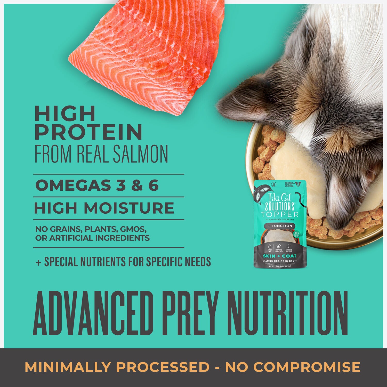 Tiki Cat Solutions Topper, Skin + Coat, Salmon Recipe In Broth, 1.5-Oz Pouch