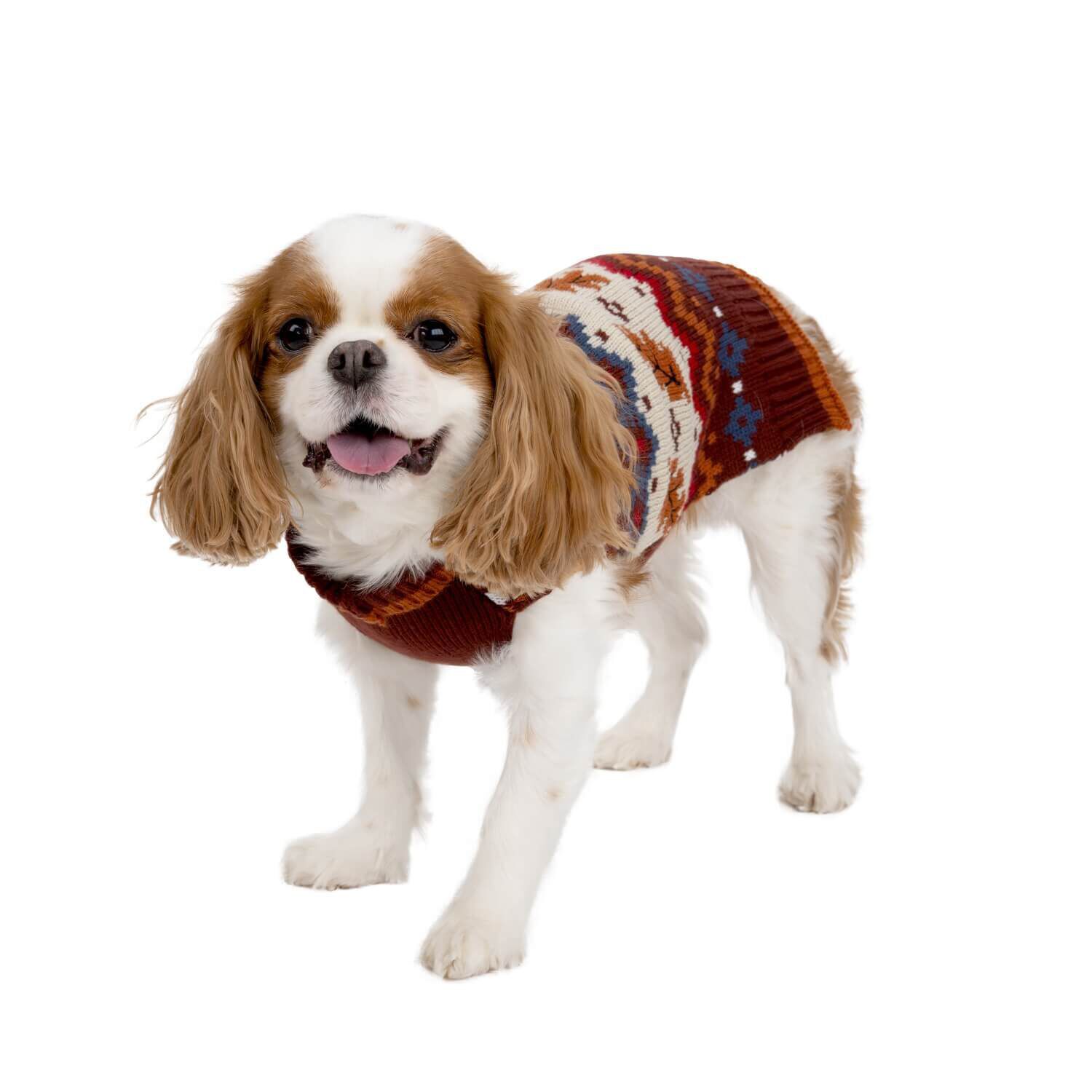 Simply Dog Fall Fox Brown Pullover Dog Sweater