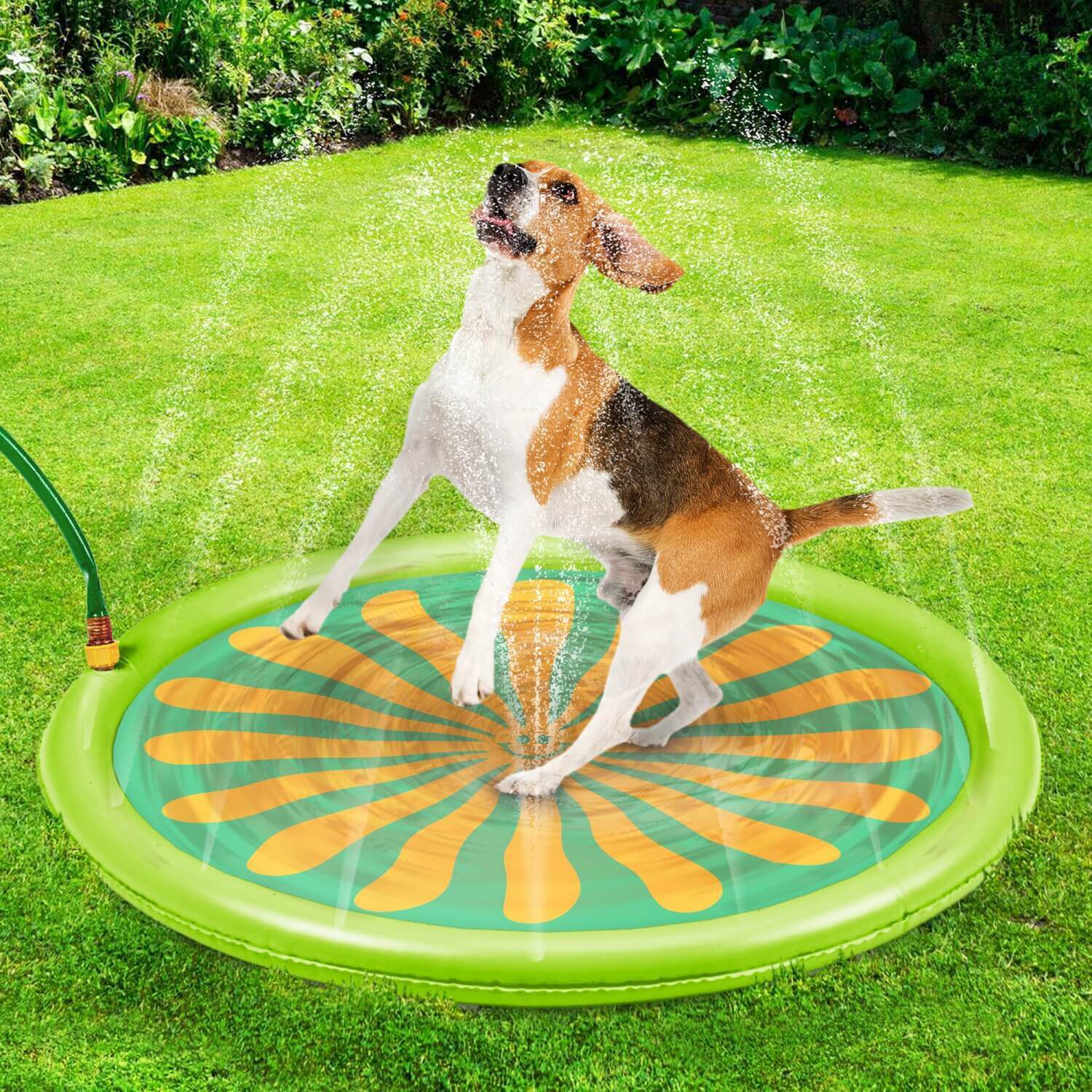 Durable Outdoor Dog Splash Pad 1ea Pet Supermarket