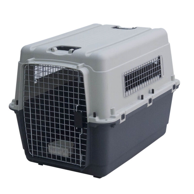 Essentials Airline Approved Plastic Pet Carrier