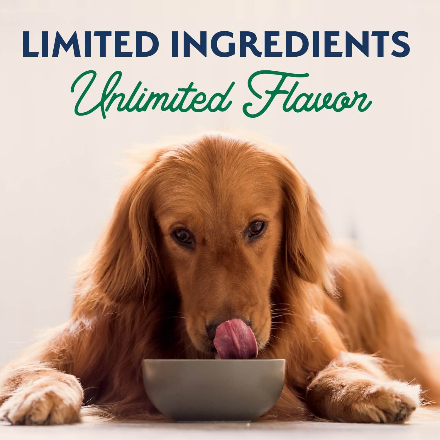 Natural Balance Limited Ingredient Lamb & Brown Rice Recipe Adult Wet Dog Food