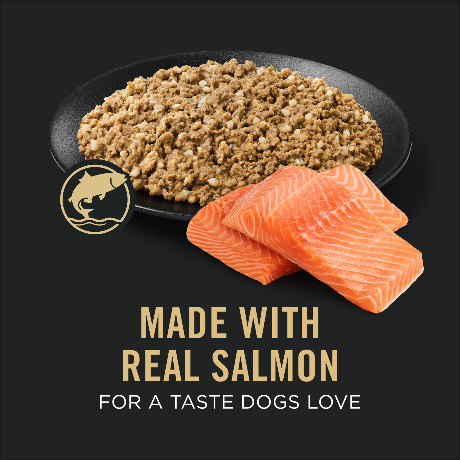 Purina Pro Plan Sensitive Skin And Stomach Classic Pate Salmon And Rice Entree Wet Dog Food, 13-Oz Can Pack Of 12