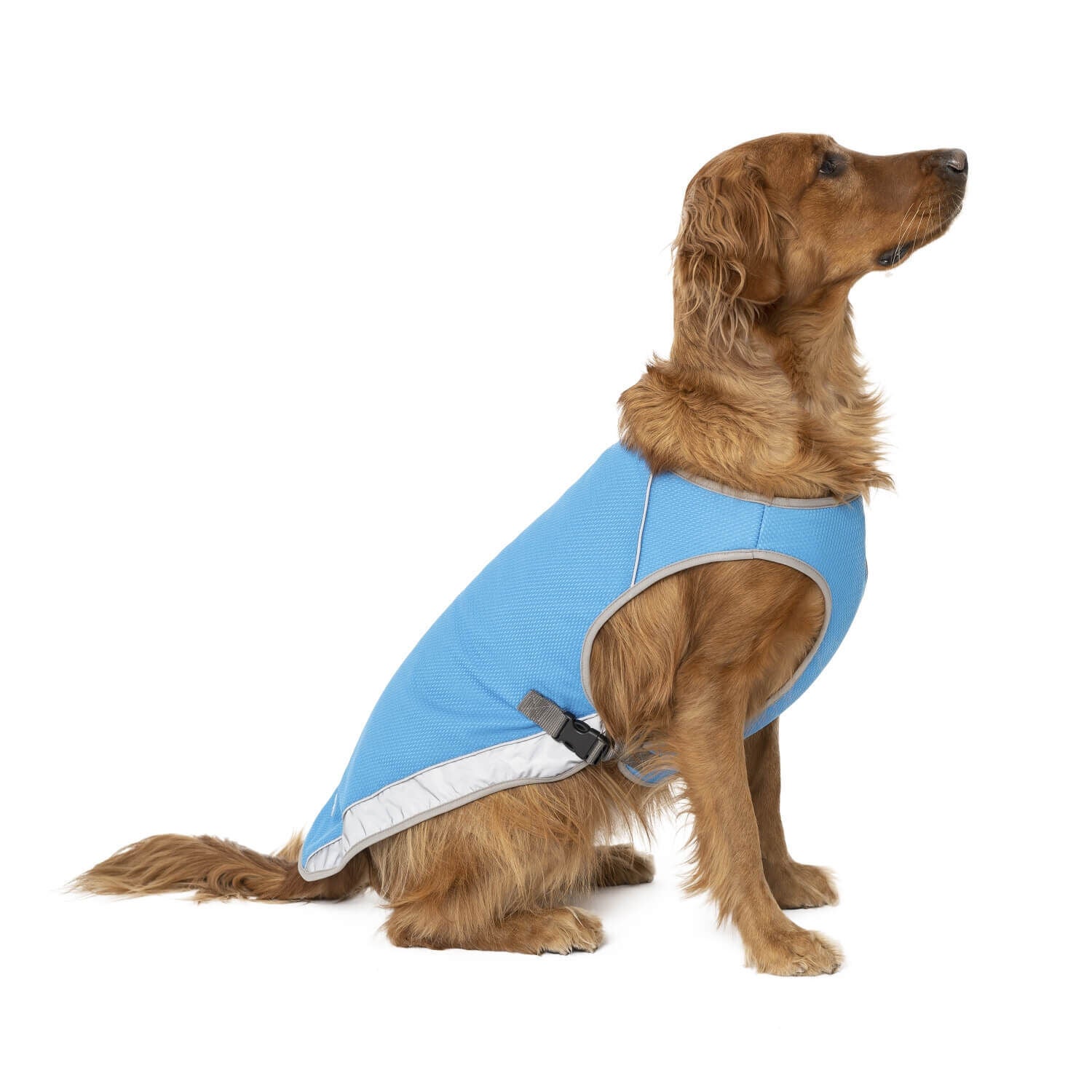 Canada Pooch Chill Seeker Cooling Dog Vest - Blue