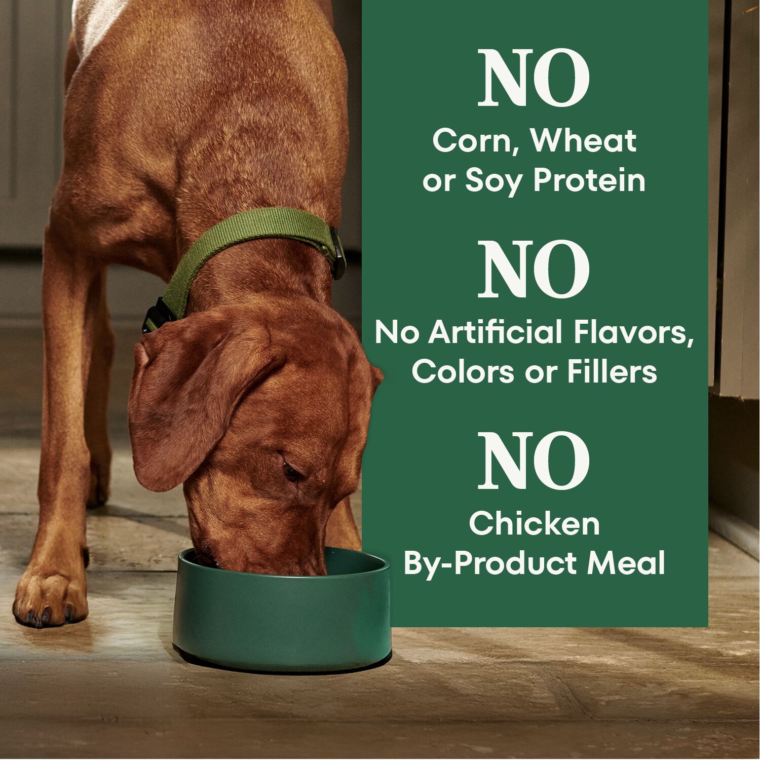 Nutro Wholesome Essentials Senior Chicken, Whole Brown Rice & Sweet Potato Recipe Dog Food, 30-Lb