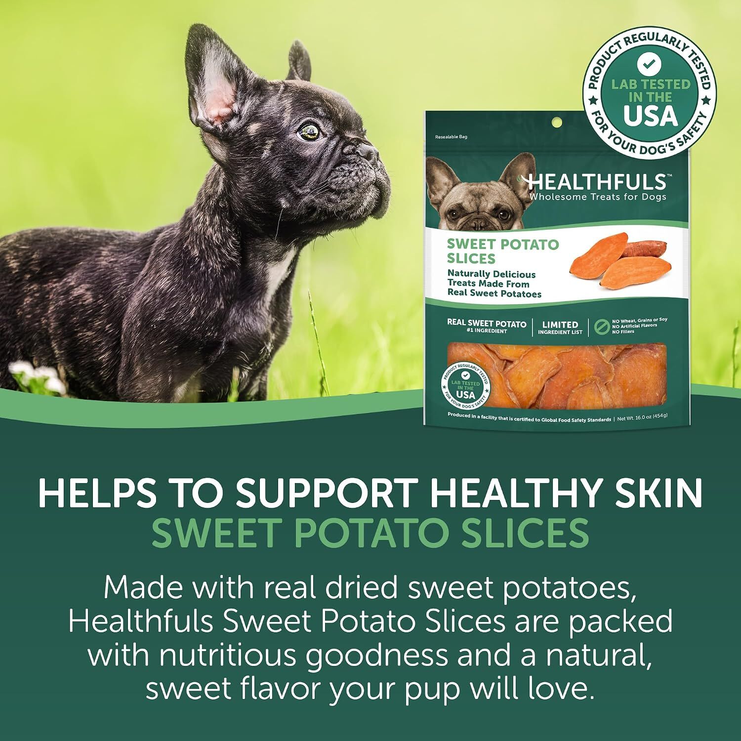 Healthfuls Sweet Potato Slices Natural Dog Treats, 1-Lb Bag