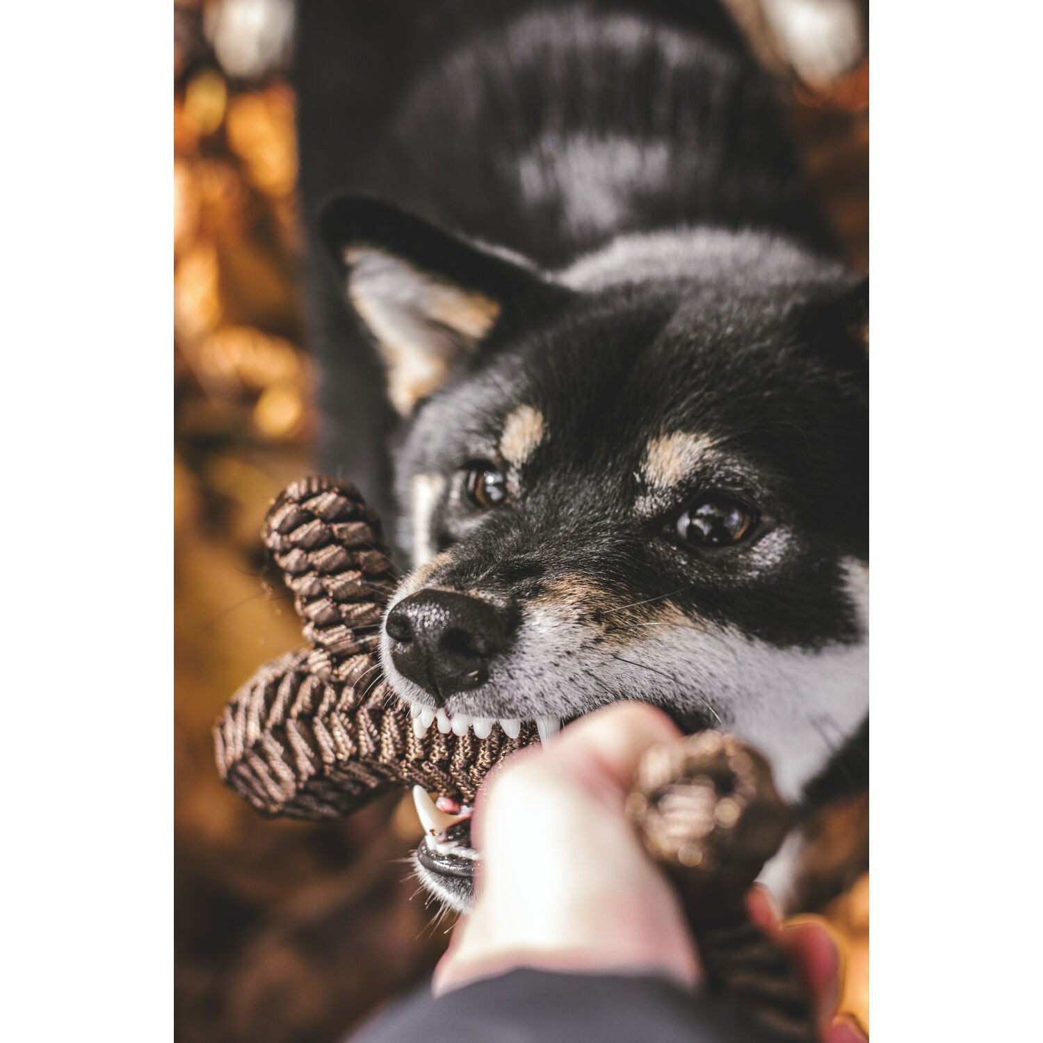 Tall Tails Tug & Toss Brown Braided Stick Dog Toy, 9"