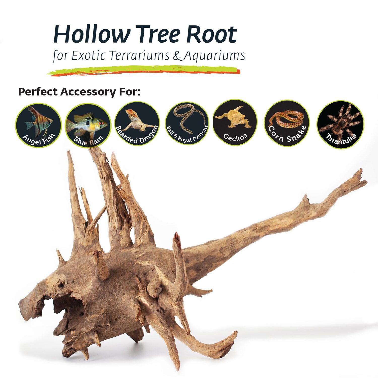 Gal&aacute;pagos Hollow Tree Root, Driftwood Aquarium And Terrarium Decor, Natural, 12-16"