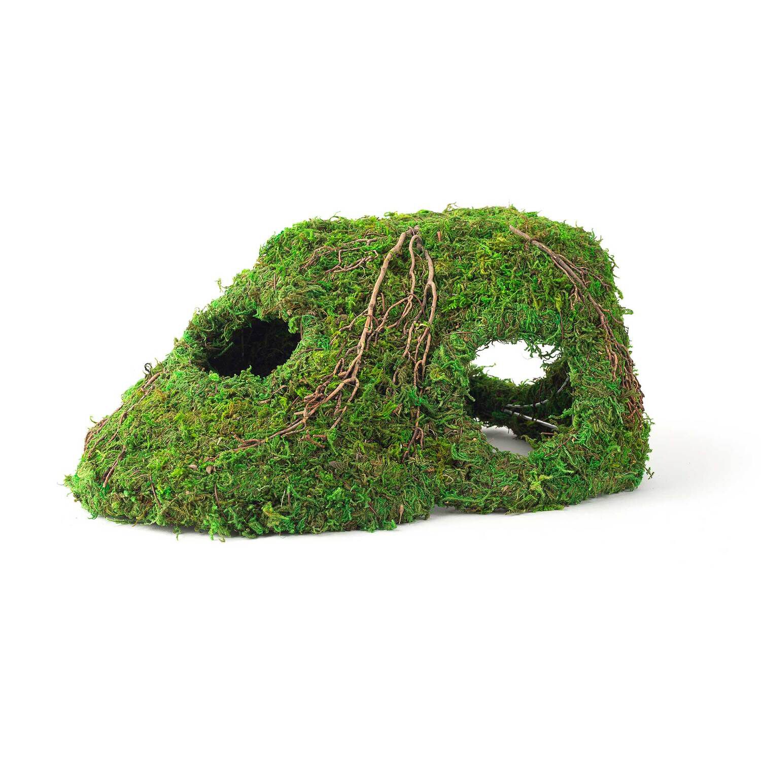 Gal&aacute;pagos Sapa Corner Reptile Hideout, Green, 10 X 5.5In