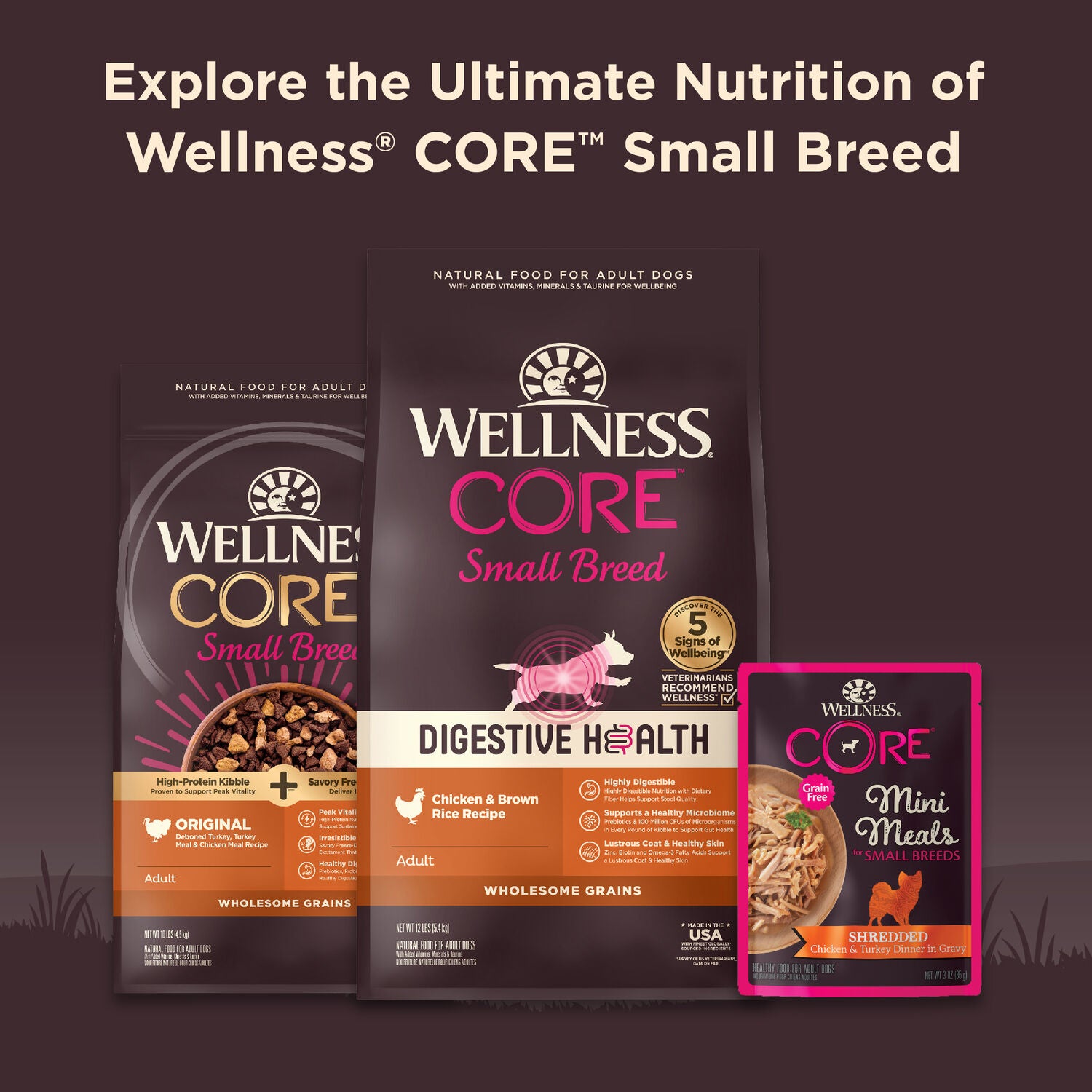 Wellness Core Natural Grain-Free Mini Meals Shredded Wet Dog Food, Variety Pack, 3-Oz Pack Of 12