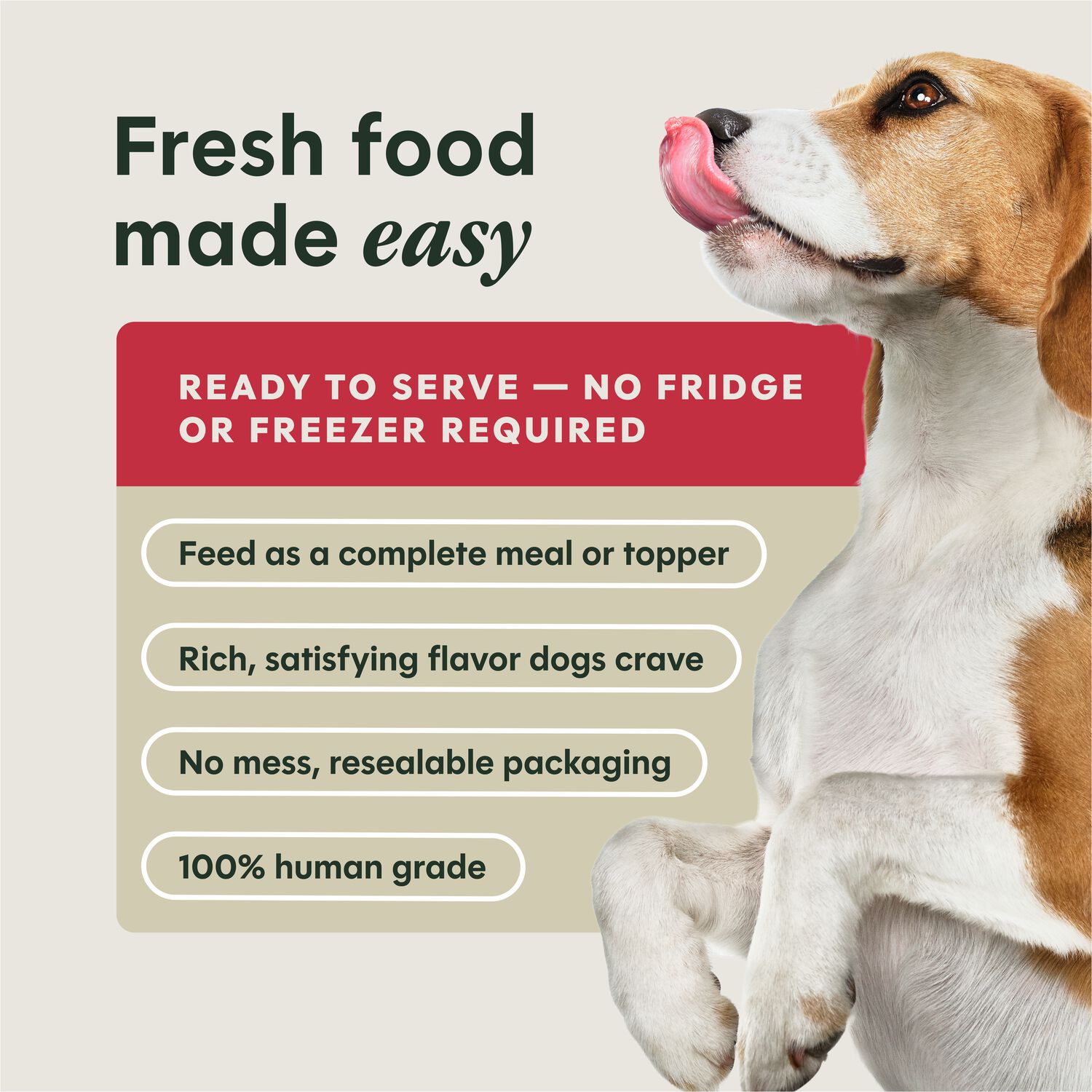 Instinct Freshly Crafted Meals Wet Dog Food Or Dog Food Topper, Grass-Fed Beef Recipe, 11-Oz Carton