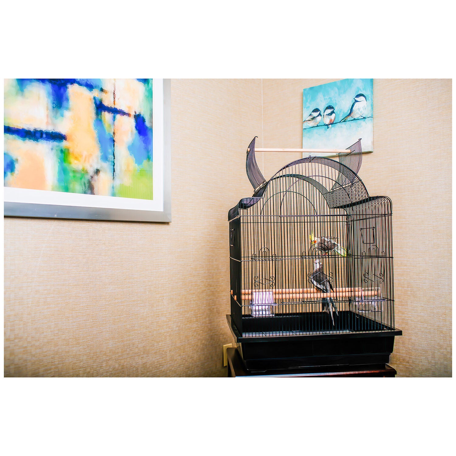A&E Cage Open Top Victorian Cage Black For Birds