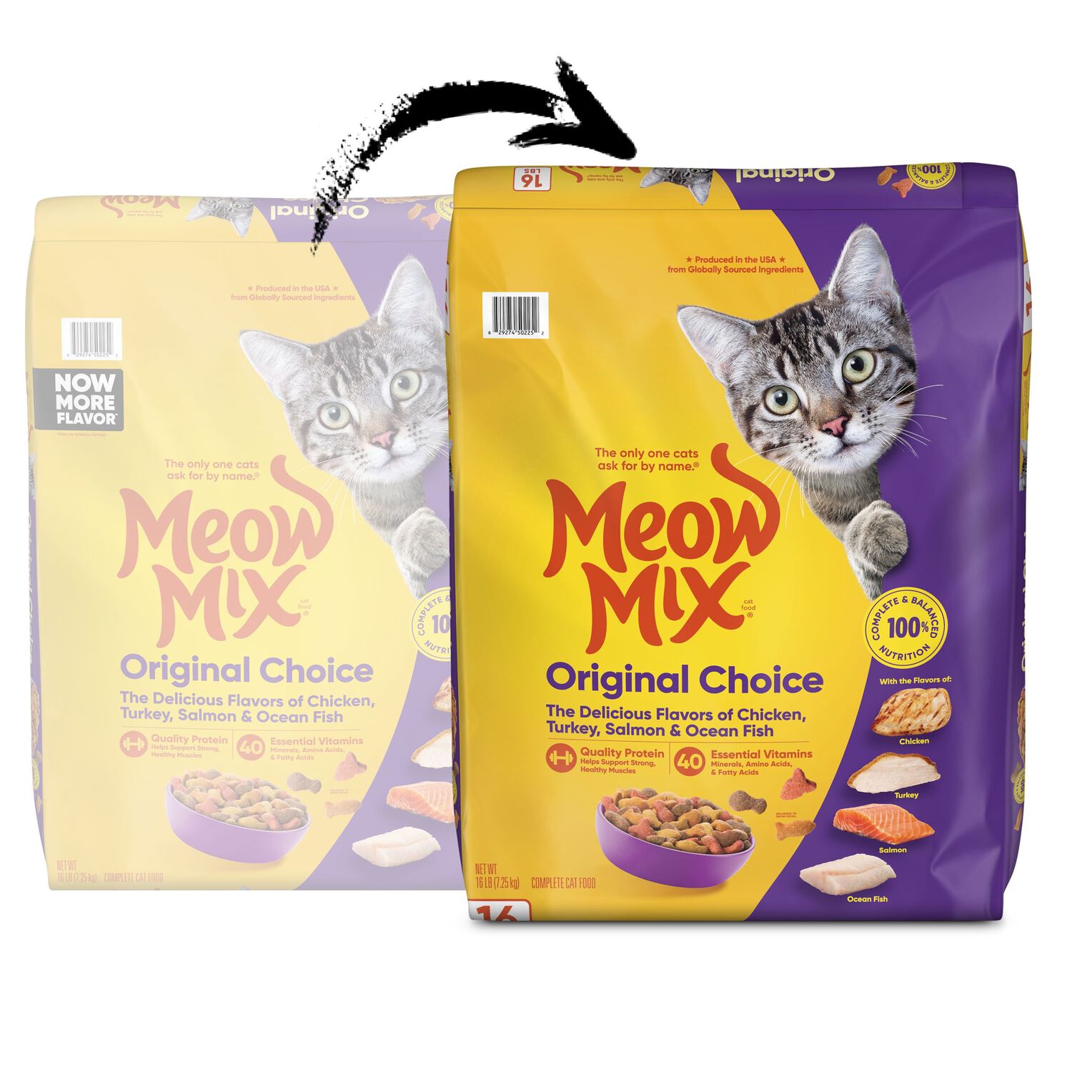 Meow Mix Original Choice Dry Cat Food Chicken, Turkey, Salmon & Ocean Fish Recipe,  16-Lb Bag